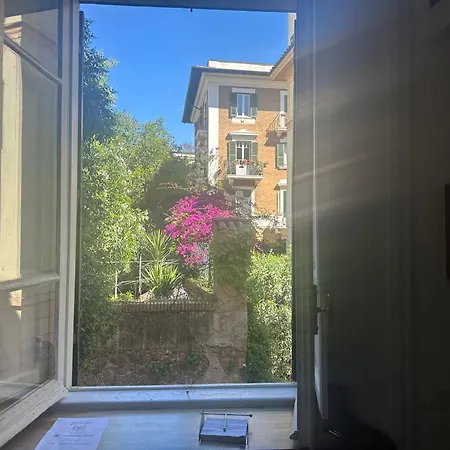 Window