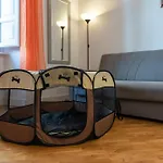 Window