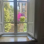 Window Rome