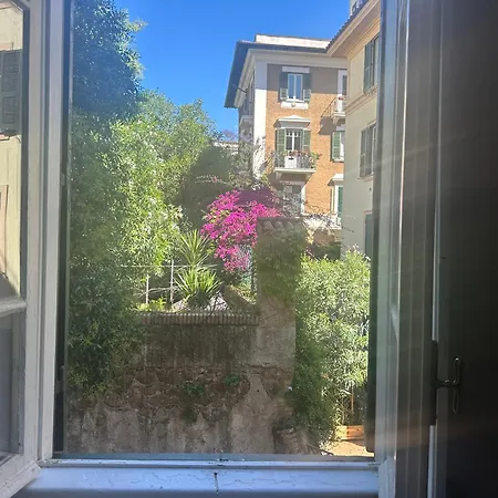 Window *