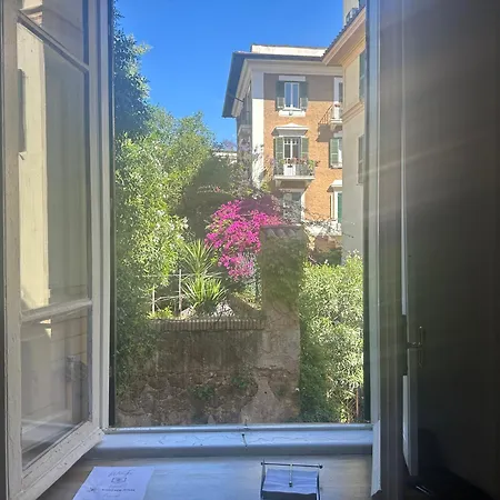 Window *
