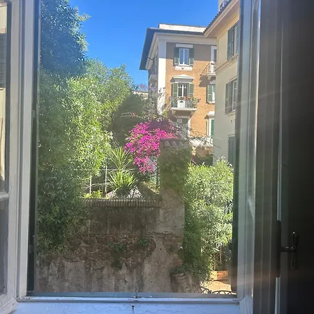 Window * Roma